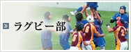 ラグビー部