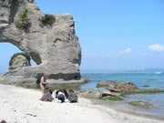 白浜臨海実習