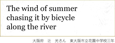 the wind of summer chasing it by bicycle along the river@{@ҁ@@sԉwZON