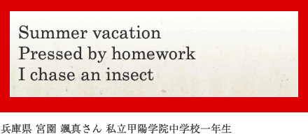 Summer vacation Pressed by homework I chase an insect