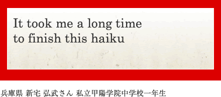 It took me a long time to finish this haiku