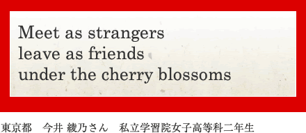 Meet as strangers leave as friends under the cherry blossoms