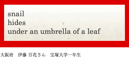 snail hides under an umbrella of a leaf
