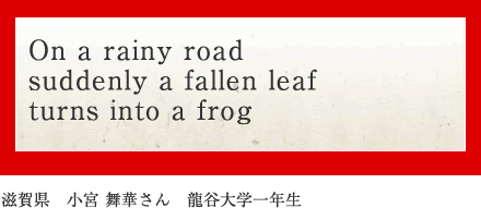 On a rainy road suddenly a fallen leaf turns into a frog