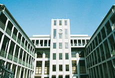 東黌
