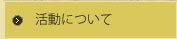 活動について