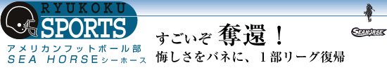 RYUKOKU SPORTS AJtbg{[@SEA HORSE@DҁIolɁA1[OA