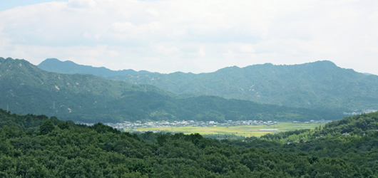 日本人の原風景「里山」から人間社会の在り方が見えてくる
