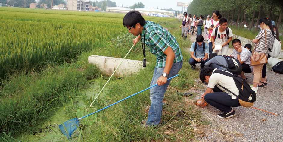 徐州市・藩安湖周辺の水田で、水生生物を調査する谷垣岳人講師