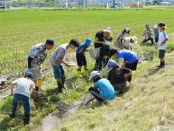 ゼミ生と地域の小学生と農家との水田の生物調査