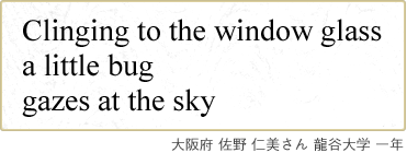 Clinging to the window glass a little bug gazes at the sky 大阪府 佐野 仁美さん 龍谷大学 一年