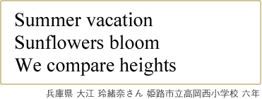 Summer vacation Sun flowers bloom We compare heights Ɍ ] 描ނ PHswZ ZN