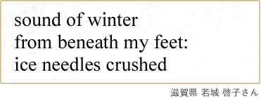 sound of winter from beneath my feet: ice needles crushed 滋賀県 若城 啓子さん