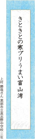 きときとの寒ブリうまい富山湾 上村 勝哉さん 黒部市立高志野中学校 三年