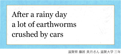 After a rainy day a lot of earthworms crushed by cars 滋賀県 藤居 美月さん 滋賀大学三年