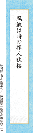 風紋は時の旅人秋桜 青本 瑞季さん 広島県立広島高等学校 一年