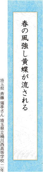 春の風強し黄蝶が流される 斉藤 瑞季さん 埼玉県立桶川西高等学校 二年