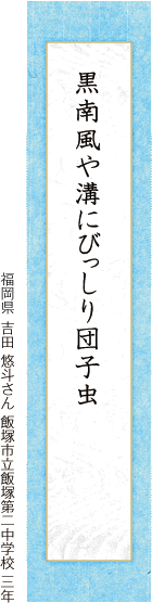 黒南風や溝にびっしり団子虫 吉田 悠斗さん 飯塚市立飯塚第二中学校 三年