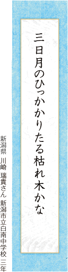 三日月のひっかかりたる枯れ木かな 川崎 瑞貴さん 新潟市立白南中学校 三年 