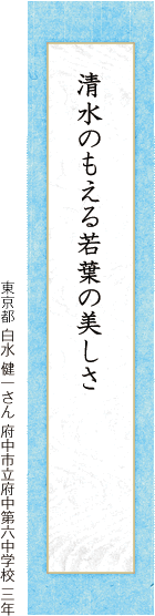 五月るるひめゆりたちを悲しみて 藤井 香菜さん 吉野川市立鴨島第一中学校 二年