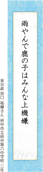 夏の月流星群にかこまれて 吉村 友里子さん 帝塚山学院泉ヶ丘中学校 三年