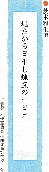 蠅たかる日干し煉瓦の一日目 大塚 雅也さん 開成高等学校 二年 