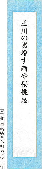 玉川の嵩増す雨や桜桃忌 東 拓徳さん 明治大学 二年