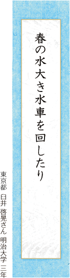 春の水大き水車を回したり 臼井 啓晃さん 明治大学 三年