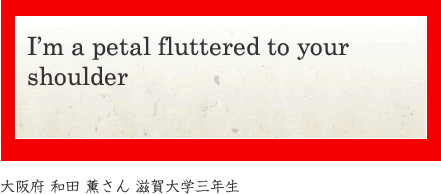 I'm a peral fluttered to your shoulder