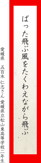 ばった飛ぶ風をたくわえながら飛ぶ