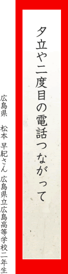 夕立や二度目の電話つながって