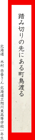 踏み切りの先にある町鳥渡る