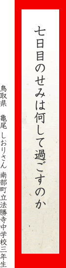 七日目のせみは何して過ごすのか
