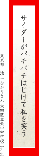 サイダーがパチパチはじけて私を笑う