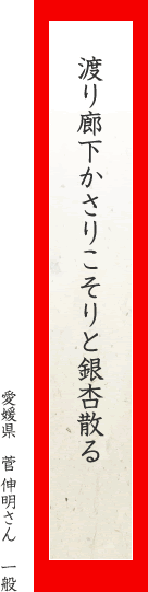 渡り廊下かさりこそりと銀杏散る