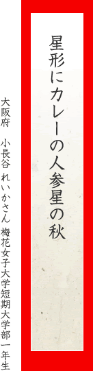星形にカレーの人参星の秋