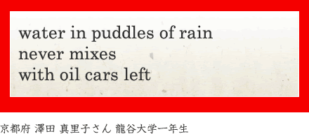 water in puddles of rain never mixes with oil cars left