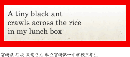 A tiny black ant crawls across the rice in my lunch box