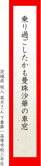 乗り過ごしたかも曼珠沙華の車窓