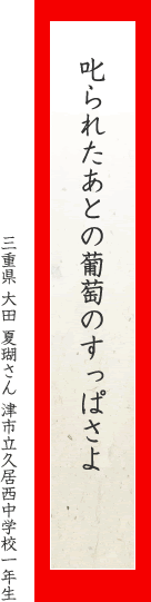 叱られたあとの葡萄のすっぱさよ