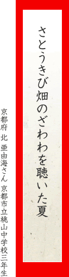 すれ違う左の方に春が来る