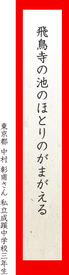 飛鳥寺の池のほとりのがまがえる