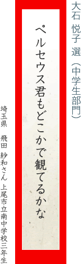 ペルセウス君もどこかで観てるかな