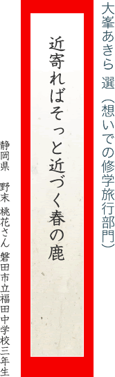 近寄ればそっと近づく春の鹿