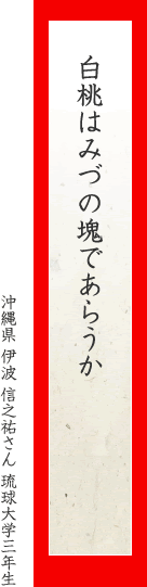 白桃はみづの塊であらうか