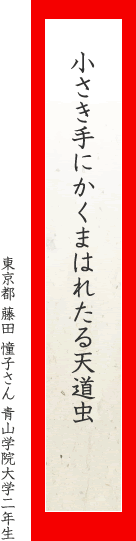 小さき手にかくまはれたる天道虫