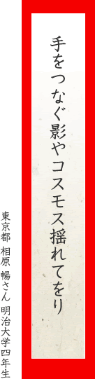 手をつなぐ影やコスモス揺れてをり