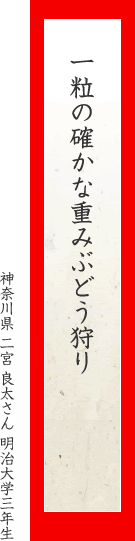 一粒の確かな重みぶどう狩り