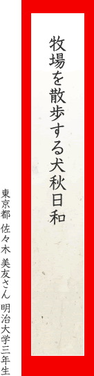 牧場を散歩する犬秋日和