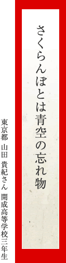 さくらんぼとは青空の忘れ物